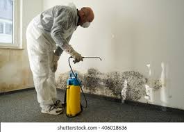 Why You Should Choose Our Mold Remediation Services in Heathcote, NJ